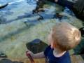 Kyle at the Long Beach Aquarium