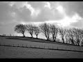 Asleep & Dreaming - Magnetic Fields Asleep & Dreaming - Magnetic Fields