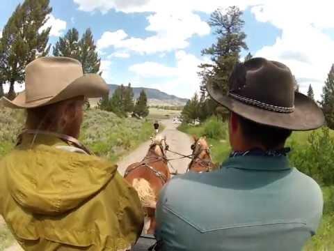 grand national results