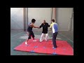 Aikijitsu temuco