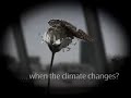 global warming: impacts on wildlife and society