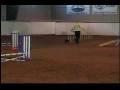 videos de 2008-11-28KellyHoosierSTD.AVI