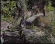 Extremadura - El Torno - Valle del Jerte - La Puria - 1/3