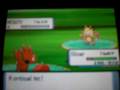 videos de Shiny Meowth