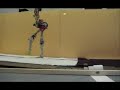 RunBot RunBot