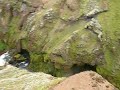 Chutes d eau au dessus de SKOGAR
