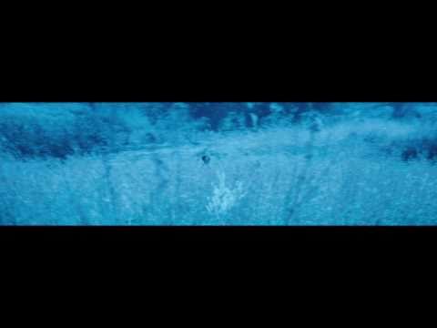 Bekijk hier de video