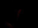 B.A.M does horror lol