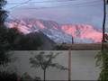 Reason's to Miss Palm Springs...