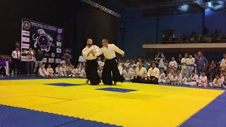 aikido-demonstration-world-shidokan-karate-championship