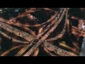 Incredible Video From Downtown Los Angeles California Ca Night