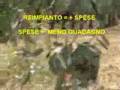 IL REIMPIANTO..... dell' ULIVO.   CANOSA DI PUGLIA