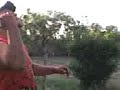 duende en rancho duende en rancho