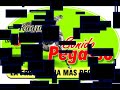 Grupo Pegasso 