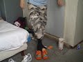 Nulty and his clogs