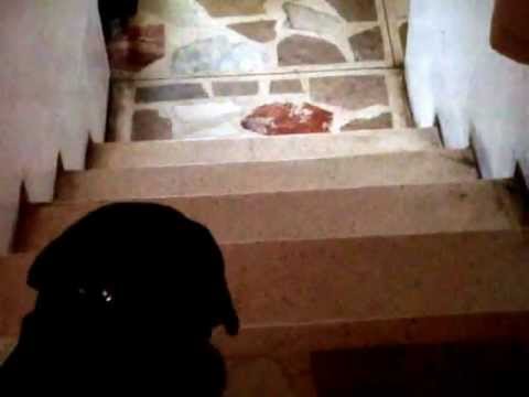 powerball drawing time