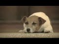 Campanha - Y&R para Santa Casa
