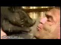 opa yo viac� un corra (de co�a)