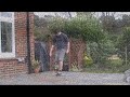 Latw-Latw || Freestyle Football