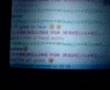Msn on the Nintendo DS using a R4DS flashcard
