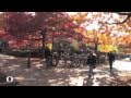 UO Virtual Tour: Academics at the University of Oregon