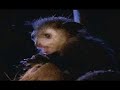 in-the-wild-cleese-with-lemurs-47.html