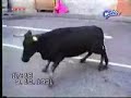 Big Idiots Compilation!!!