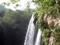 submitted by alleghanywebmaster on Sat Dec 27 2008 at 09:45am