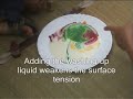 Magic milk (cool science project) Magic milk (cool science project)