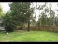 Happy Hansville Home For Sale
