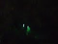 DSCF3119.AVI