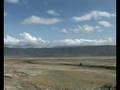 Spektakuläre Tierwelt im Ngorongoro-Krater in Tansania
