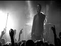 teledysk, klip, The Rifles,- Fat Cat