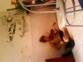 MOV00900.MP4