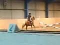 videos de MOV00990.MP4