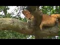 Pringles Uganda Highlight Reel!