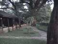 videos de The 5 Star Lodge in Africa