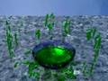 Blender Fluid Simulations