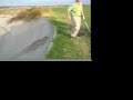 Weasel at Kiawah 12/28/2007