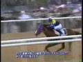 ドバイミーティング'06