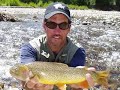 Fly Fishing High Country Cutthroat Trout #4 (Wyoming)
