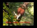 Epona-Backflip-Trick
