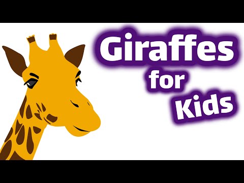 Giraffes for Kids