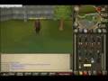 hennry626 skill cape emotion