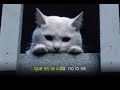 Un Gato En La Oscuridad ~ ♪ Musica Romantica ♪