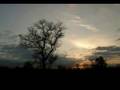 Un Gato En La Oscuridad ~ ? Musica Romantica ?