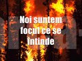 Imnul tribului "LEII INVINCIBILI" Manele-Gratis.net