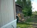 videos de Swamp Monster