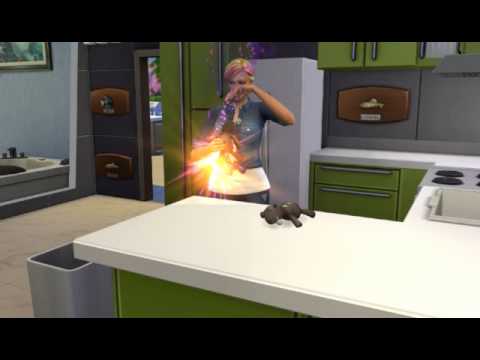 how to perform voodoo in sims 4