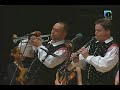 Avsenikove melodije - V mozirskem gaju Avsenikove melodije - V mozirskem gaju